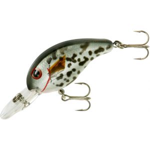 Crappie