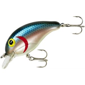 Threadhfin Shad