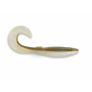 Arkansas Shiner