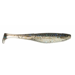 Bait Fish