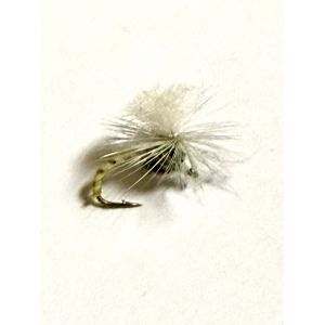 Klinkhammer Yellow #14