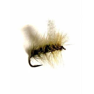White Wing Green Nalle Puh #12