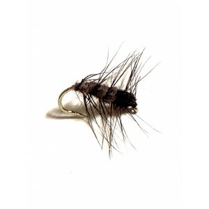 Super Pupa Brown Olive Black #12