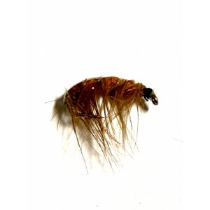 Larva Brown #12