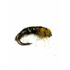 Larva Dark Olive / Yellow #12