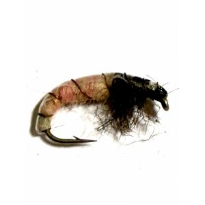 Larva Light Pink /grey #12