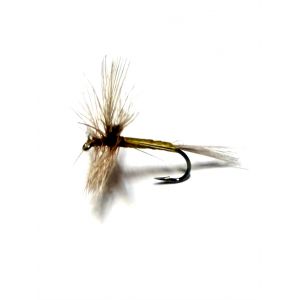 Brown/beige Dun #14