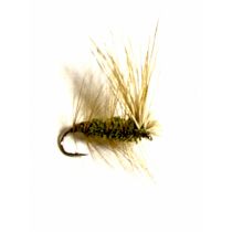 Green Deer Caddis #12