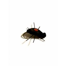 Black Beatle Orange Hi-vis #14
