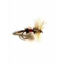 Royal Wulff #12