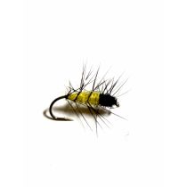 Super Pupa Yellow Black #12