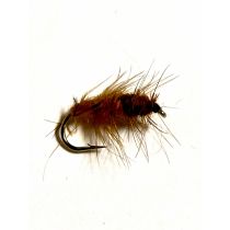 Super Pupa LT. Brown/Brown #12