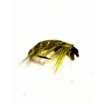 Larva Olive #14