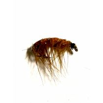 Larva Brown #12
