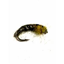 Larva Dark Olive / Yellow #12
