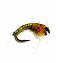 Larva Olive /Orange #12