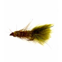Oliivi Leech