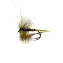 Yellow Olive Dun #12