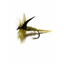 Grey Olive Dun #12