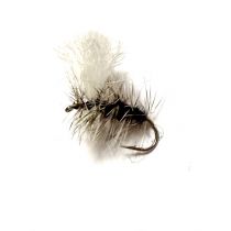 Black/grizzly Puh #12