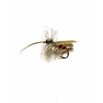 Orange Sedge #14