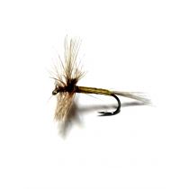 Brown/beige Dun #14