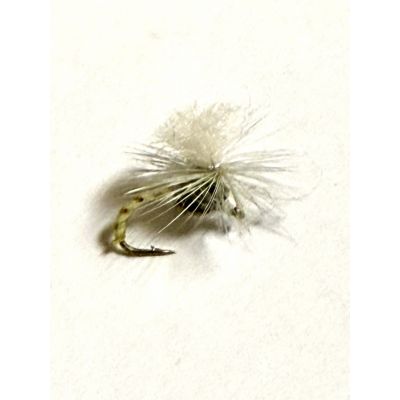 Klinkhammer Yellow #14