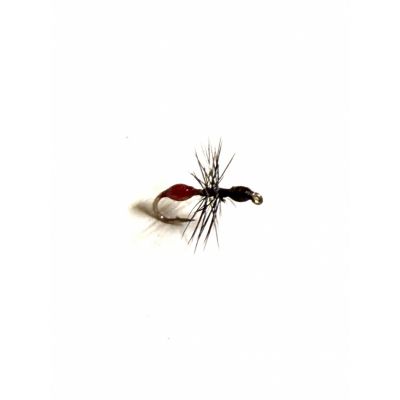 Red / Black Epoxy Ant #16