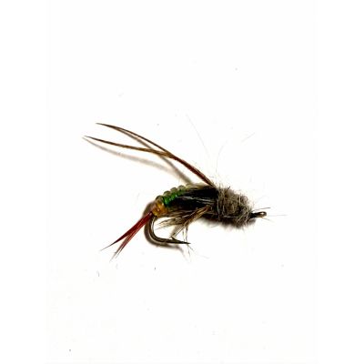 Pupa Green #10