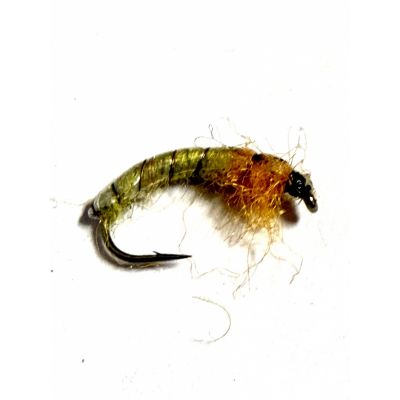 Larva Olive /Orange #12