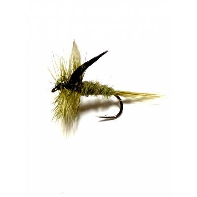 Grey Olive Dun #12