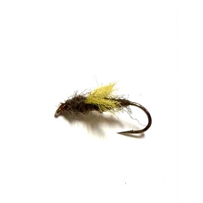 Rackelhane Brown Olive  #12