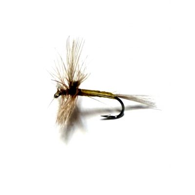 Brown/beige Dun #14