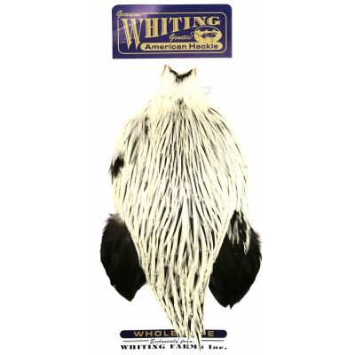 Whiting American Rooster Cape