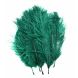 Silvergrey Spey Ostrich 5-10cm