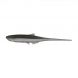 LMAB Köfi  Bleak  Pintail 7cm 5kpl